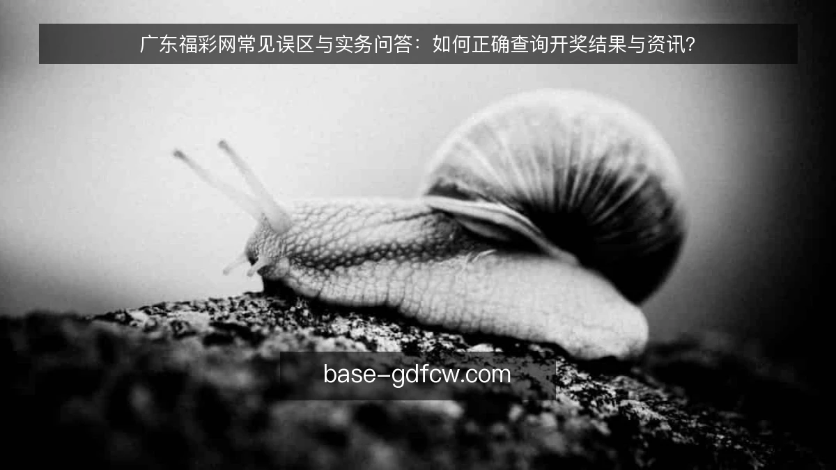 广东福彩网常见误区与实务问答：如何正确查询开奖结果与资讯？